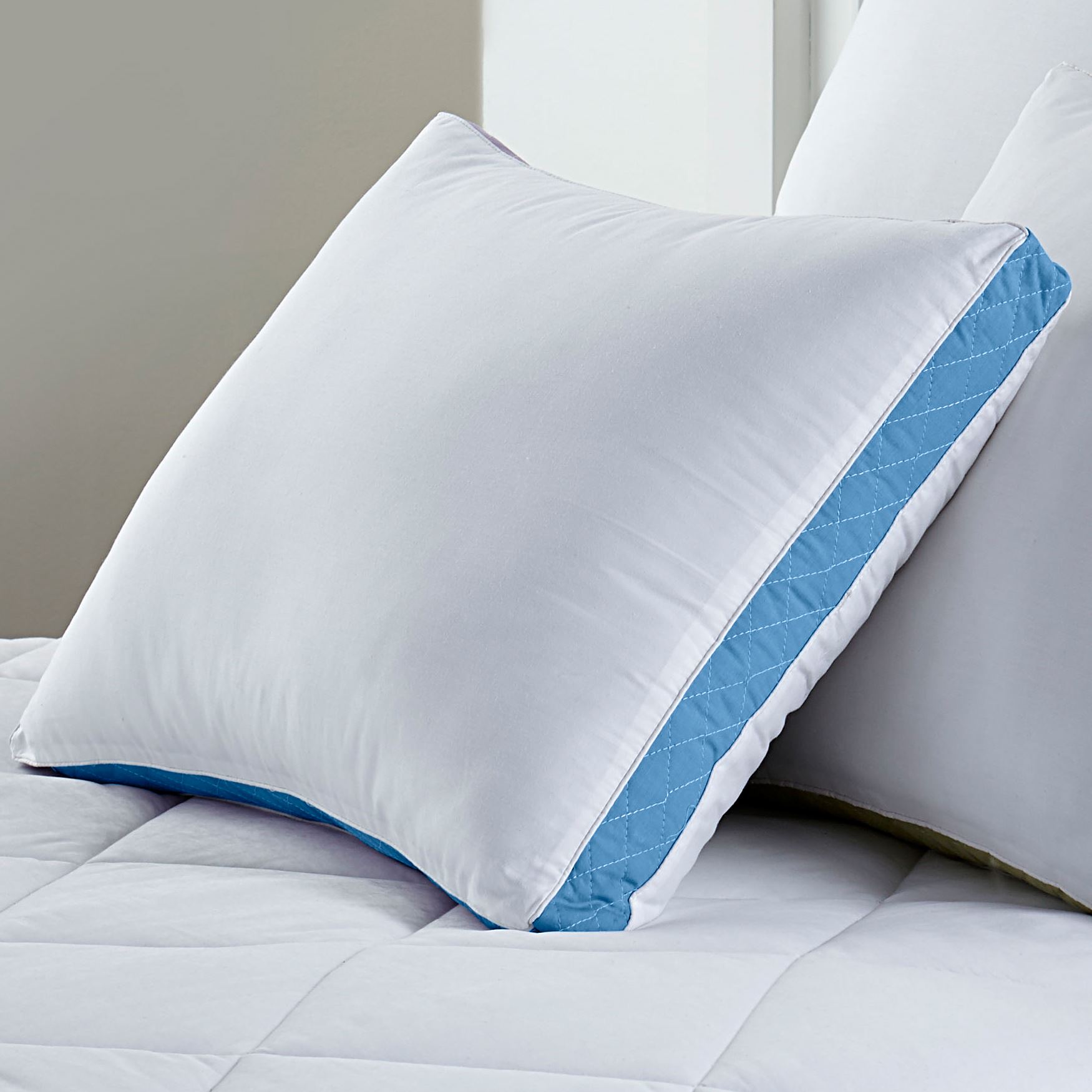 Gusseted Density 2Pack Pillows, Firm Pillows Brylane Home