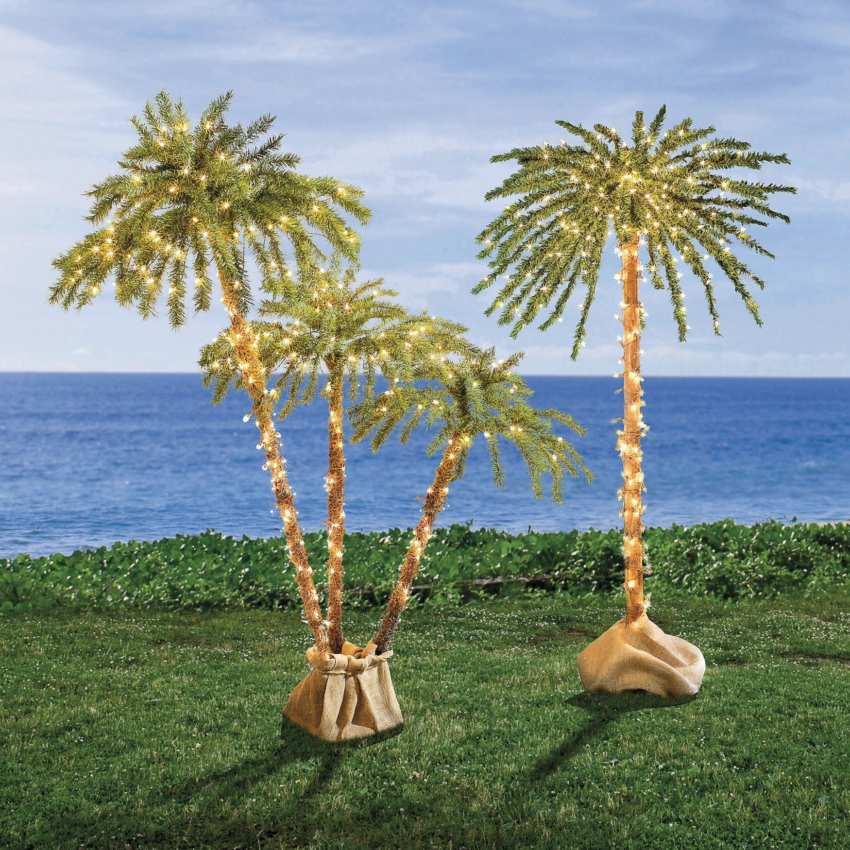 3-D Pre-Lit Palm Tree| Outdoor Décor | Brylane Home