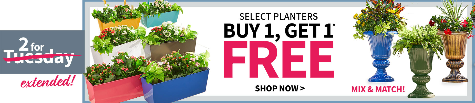 Extended! Select planters buy 1, get 1 free! Mix and Match!